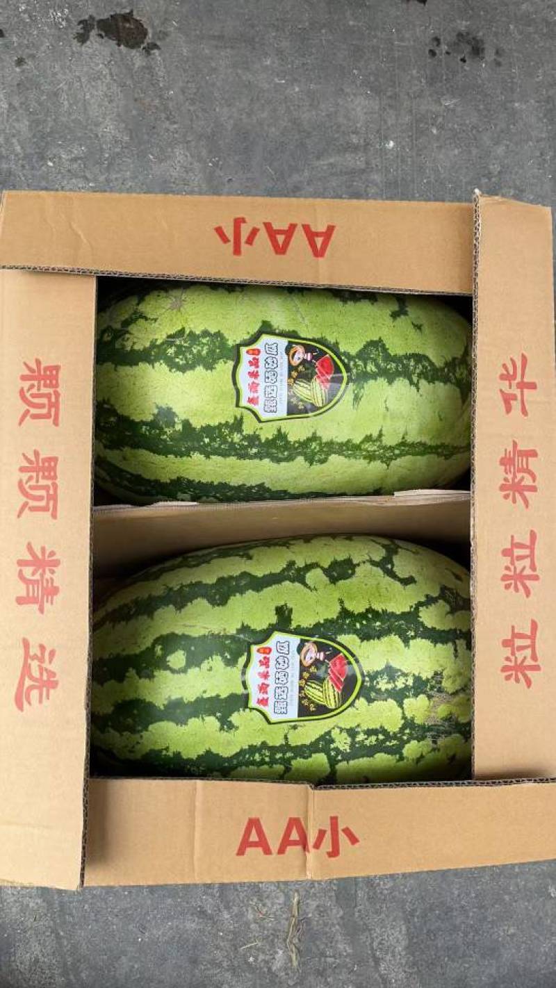 宁夏中卫A级石头缝硒砂瓜，宁夏中卫一级精品硒砂瓜