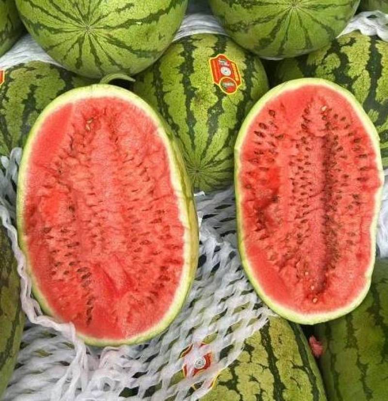 新疆A级精品硒砂瓜，新疆一级硒砂瓜，新疆硒砂瓜