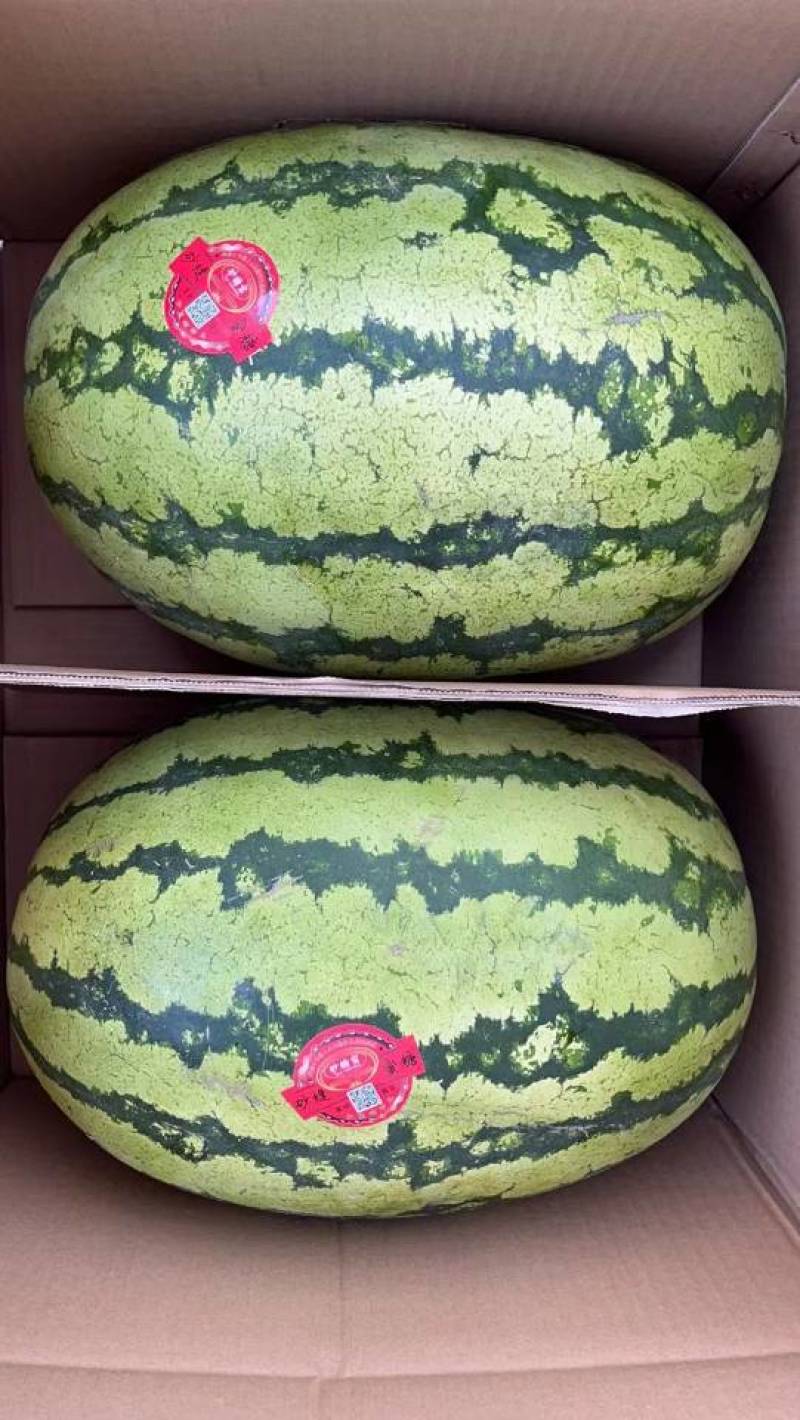 新疆A级精品硒砂瓜，新疆一级硒砂瓜，新疆硒砂瓜