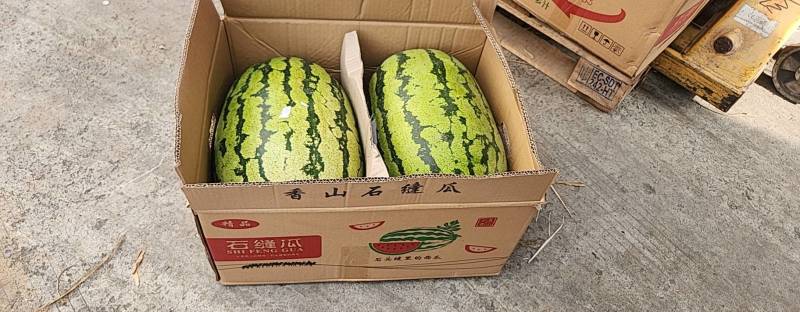新疆A级精品硒砂瓜，新疆一级硒砂瓜，新疆硒砂瓜