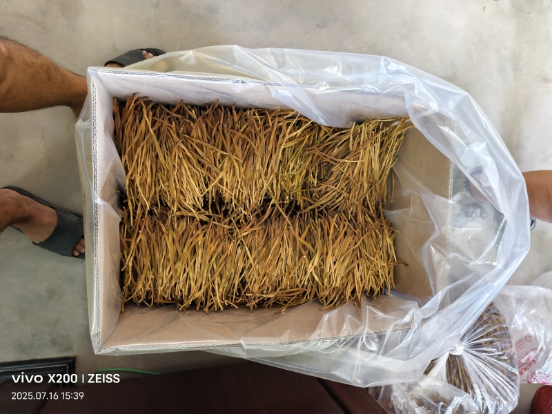 陕西澄城无硫精品熟直条黄花菜