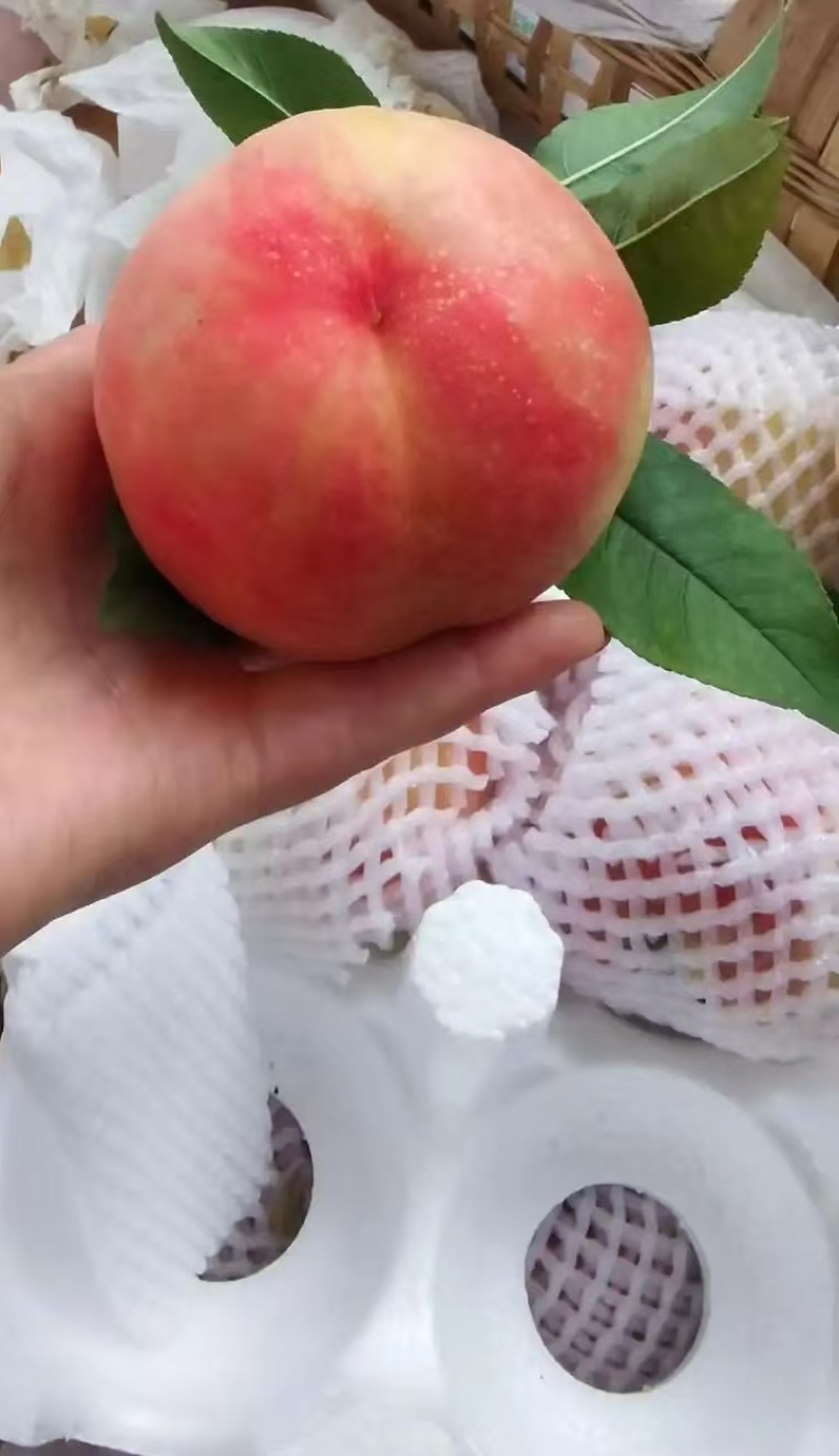 玫瑰香桃