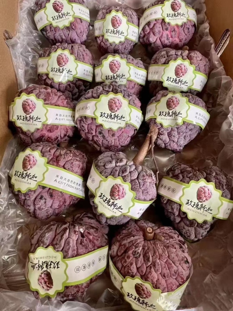 海南玫瑰释迦果