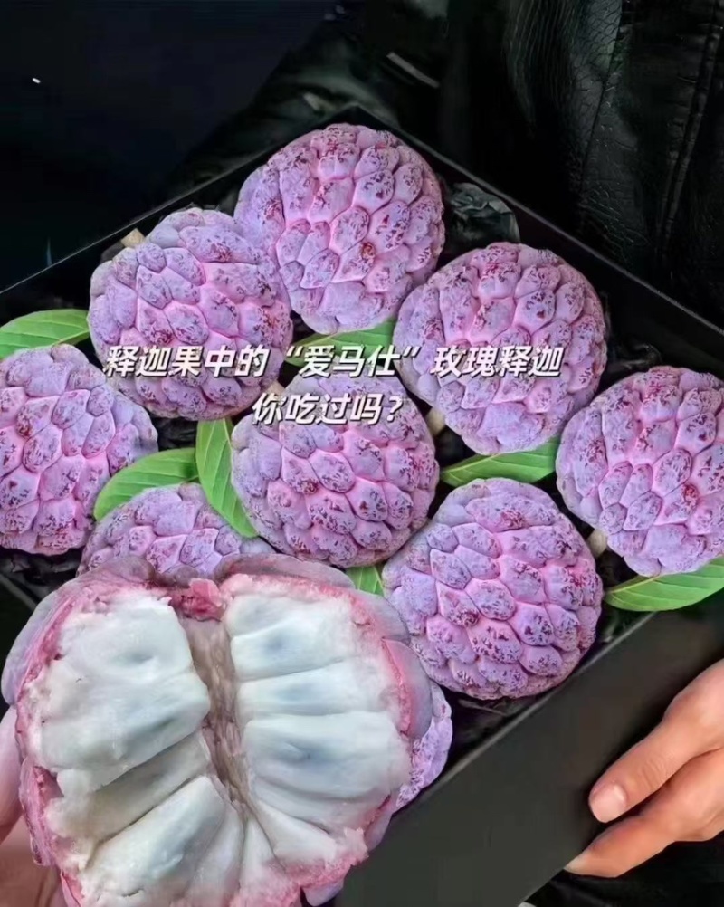 海南玫瑰释迦果