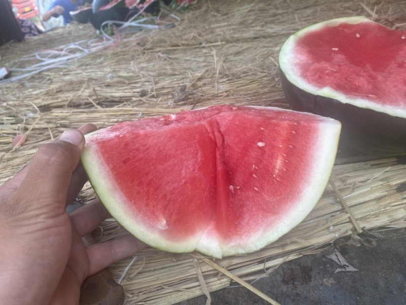 黑皮无籽产地直供一手货源品质保证质量三包