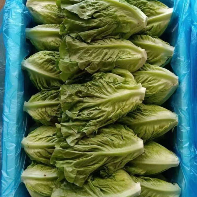 好货意大利