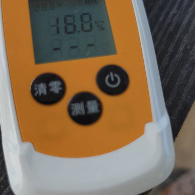 又甜又脆的阳光玫瑰