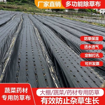 蔬菜药材专用打孔防草布
