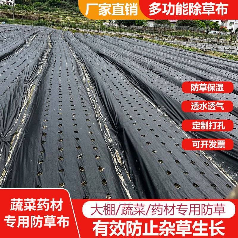 蔬菜药材专用打孔防草布