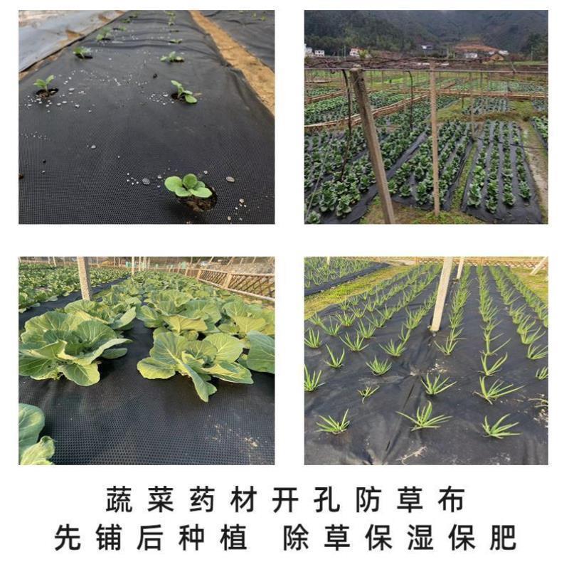 蔬菜药材专用打孔防草布