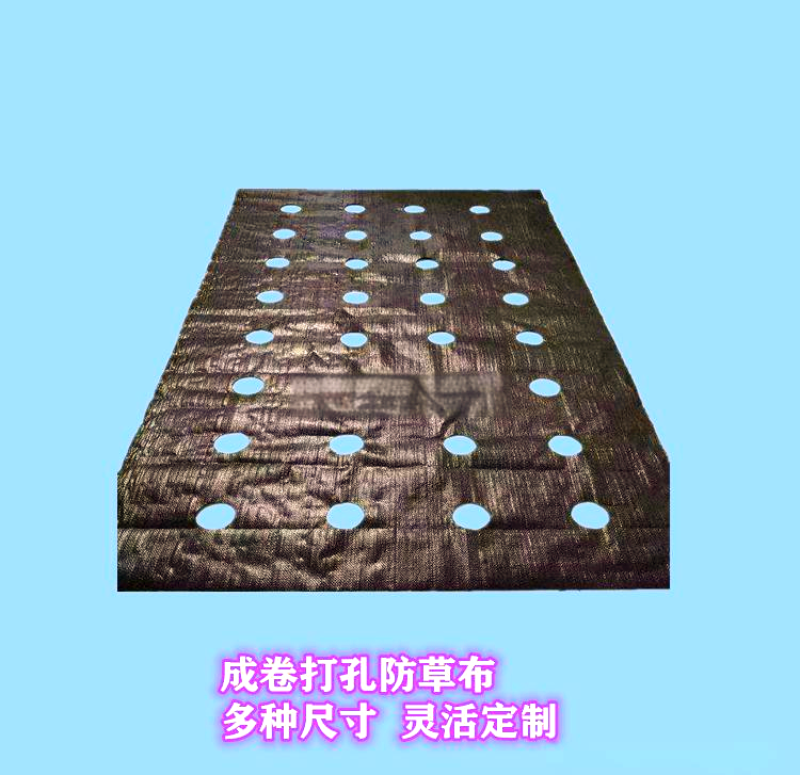 蔬菜药材专用打孔防草布