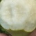 黄花梨皮溥肉细口感香脆