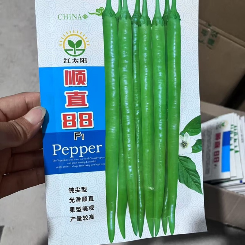 【推荐】红太阳顺直88辣椒种子，钝尖型，光滑顺直