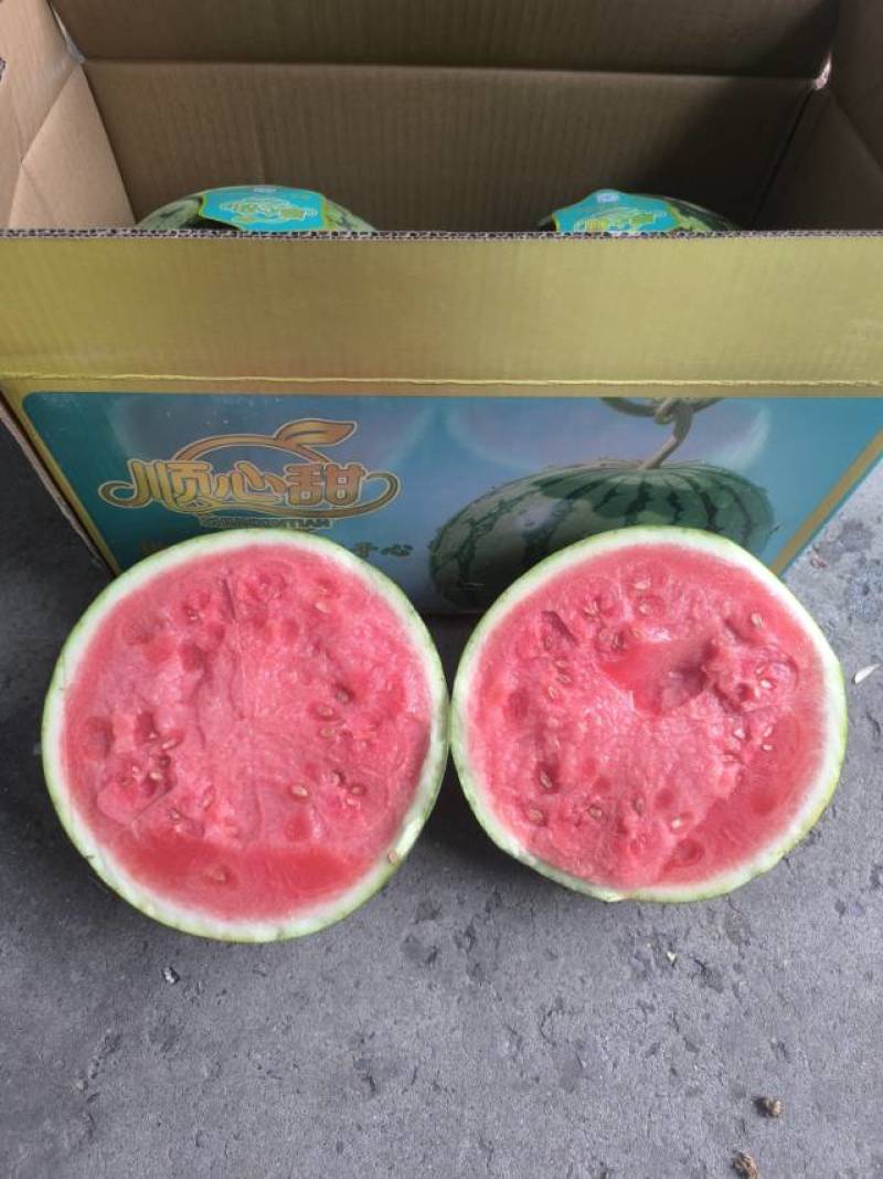 河北承德A级无籽麒麟西瓜，河北承德一级麒麟瓜