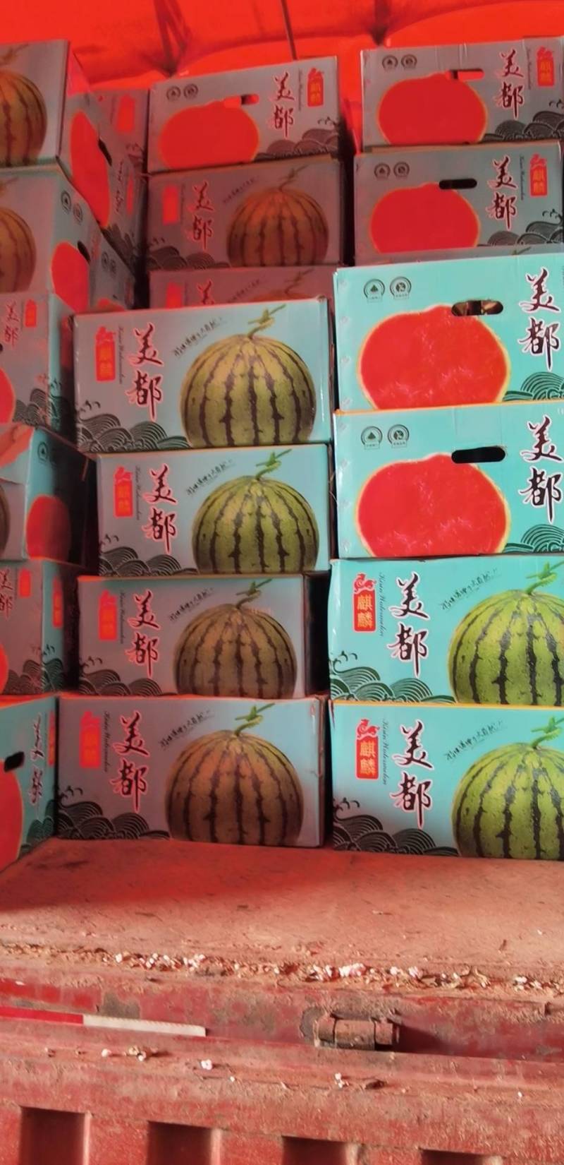 河北承德A级无籽麒麟西瓜，河北承德一级麒麟瓜
