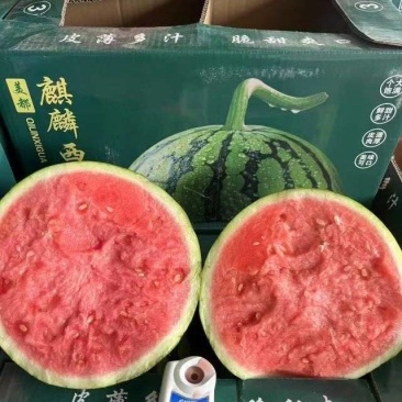 天津A级麒麟瓜，天津一级无籽麒麟西瓜