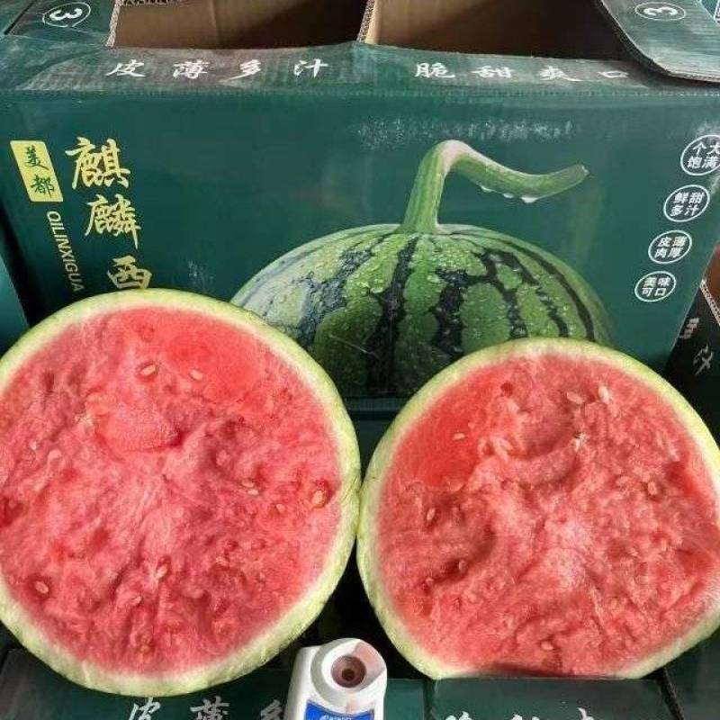 天津A级麒麟瓜，天津一级无籽麒麟西瓜