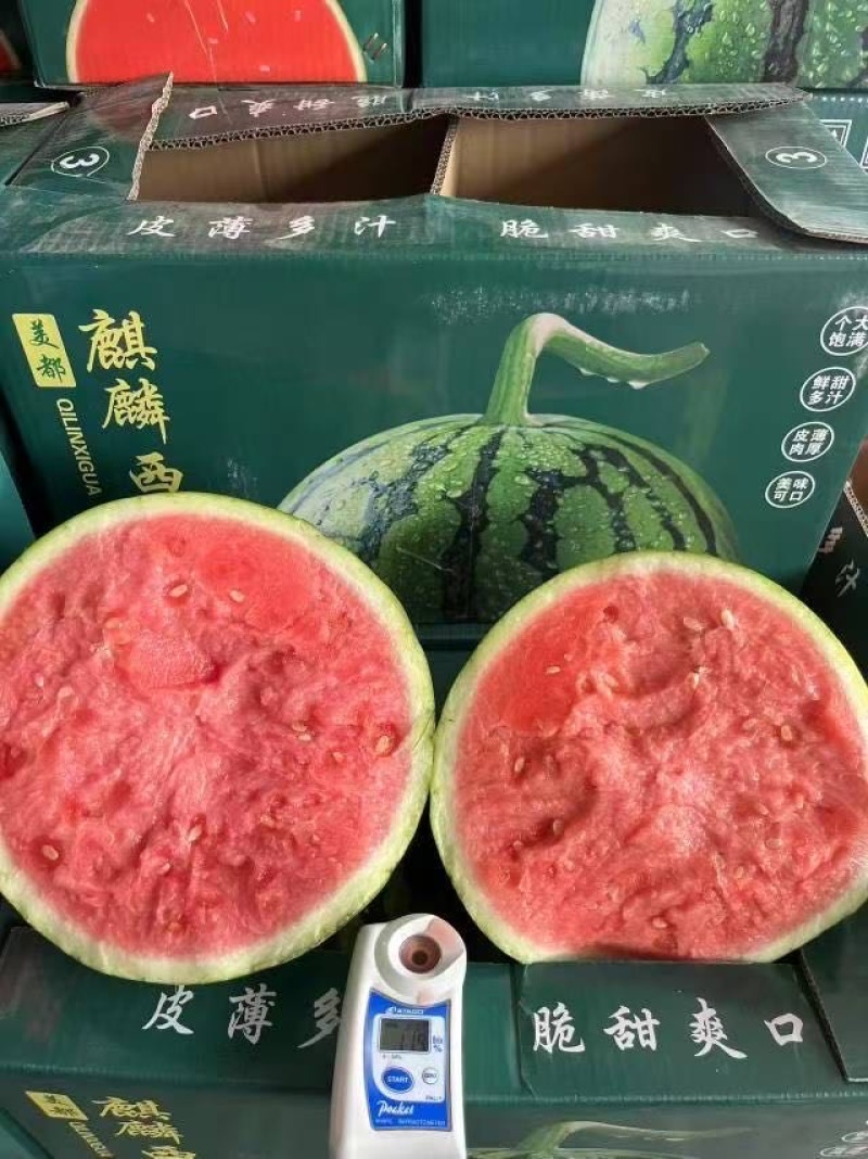 天津A级麒麟瓜，天津一级无籽麒麟西瓜