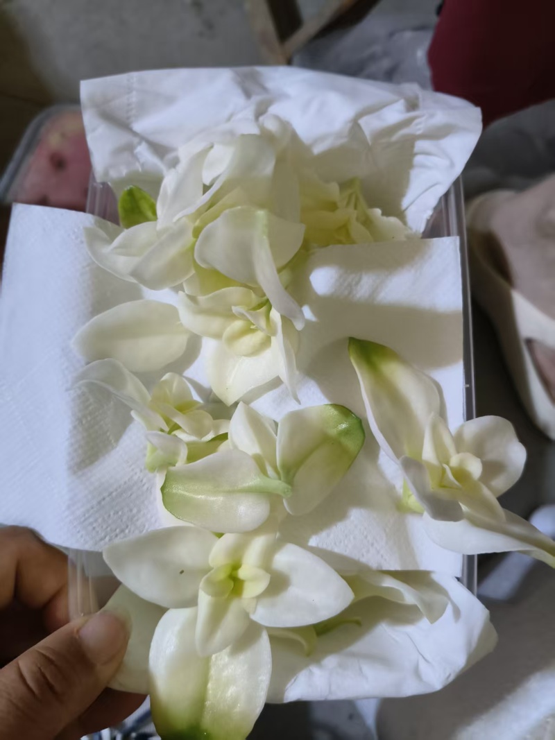 【雪莲心】白甜七雪山冰草冰山雪莲小盒子打冷耐运输储存现摘