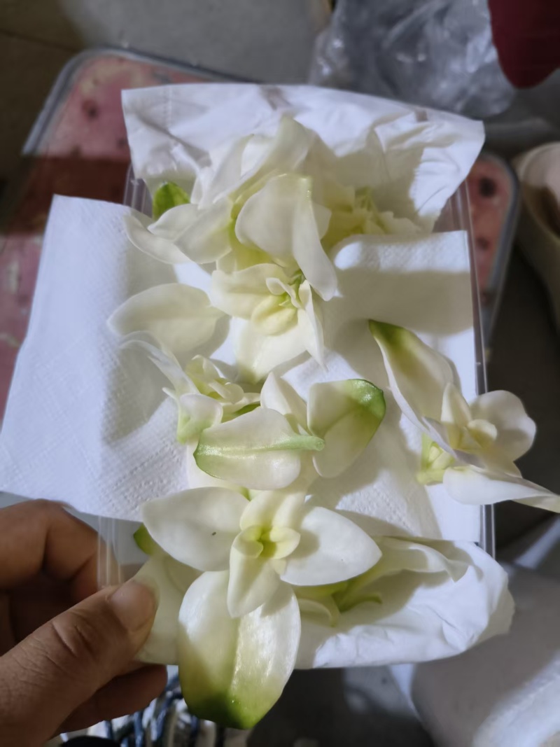 【雪莲心】白甜七雪山冰草冰山雪莲小盒子打冷耐运输储存现摘