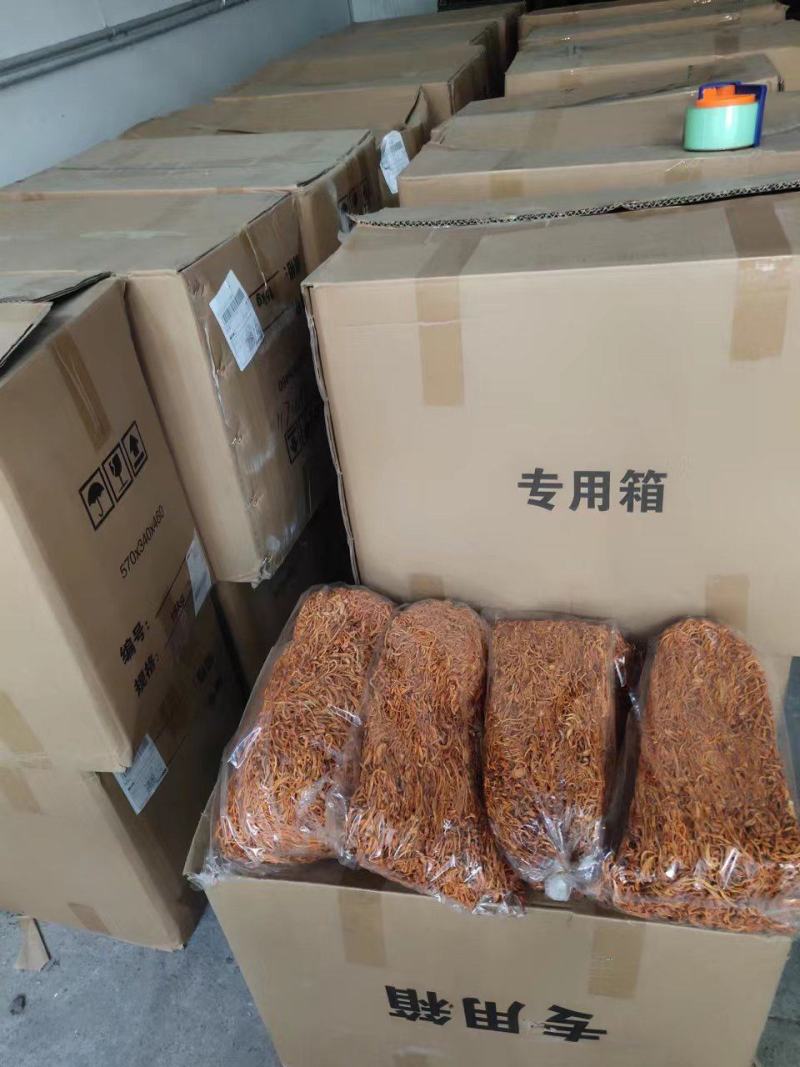 虫草花无硫中条菌汤包用