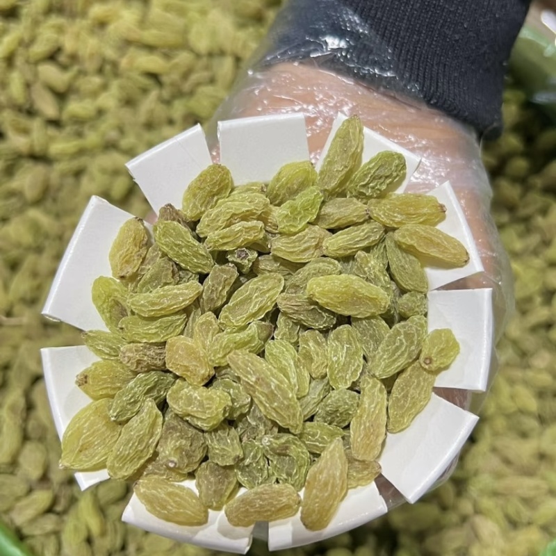 新疆吐鲁番葡萄干甜品用奶茶用食品级工厂发货
