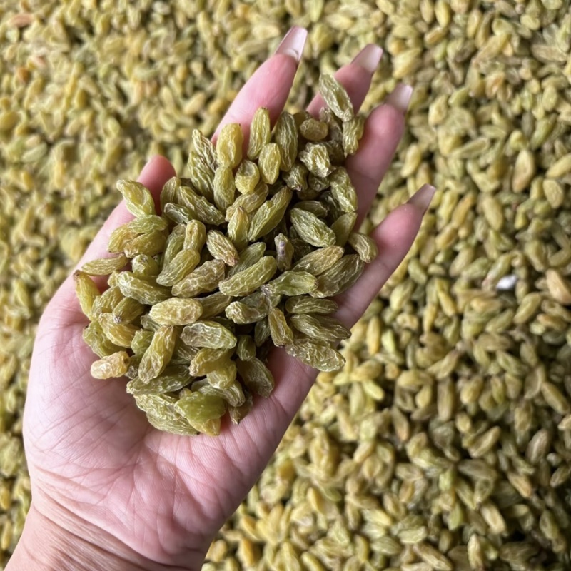 新疆吐鲁番葡萄干甜品用奶茶用食品级工厂发货