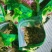 新疆吐鲁番葡萄干甜品用奶茶用食品级工厂发货