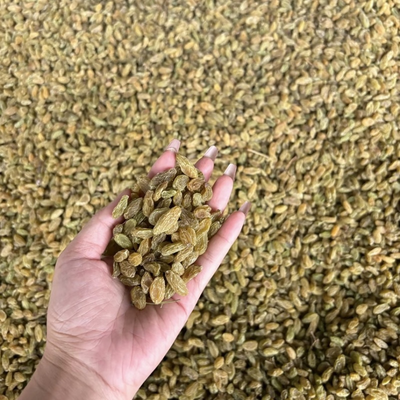 新疆吐鲁番葡萄干甜品用奶茶用食品级工厂发货