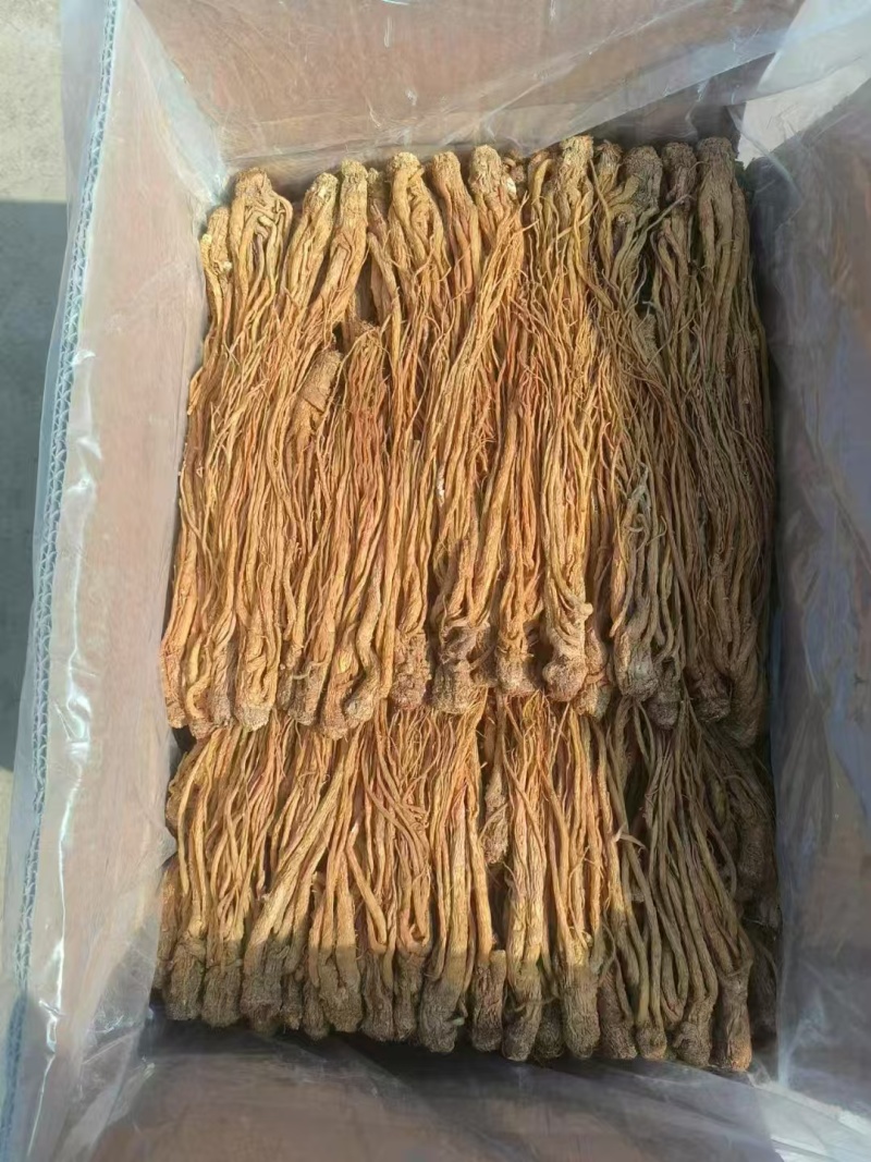 中药材，精品当归，甘肃定西药材基地直发品质保障量大从优