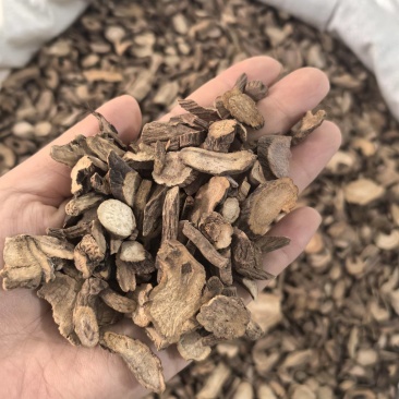 赤芍山东赤芍山东产地货源大货供应七彩百草中药材