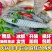 原味鱼皮罗非鱼泡椒鱼皮原料水发冷冻火锅餐饮半成品凉拌新鲜