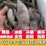 原味鱼皮罗非鱼泡椒鱼皮原料水发冷冻火锅餐饮半成品凉拌新鲜