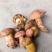 黄牛肝菌