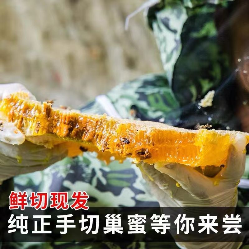 野生蜂巢蜜嚼着吃农家自产土蜂蜜蜂窝蜜瓶装野
