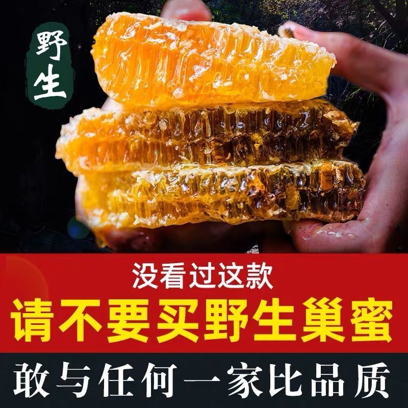 野生蜂巢蜜嚼着吃农家自产土蜂蜜蜂窝蜜瓶装野