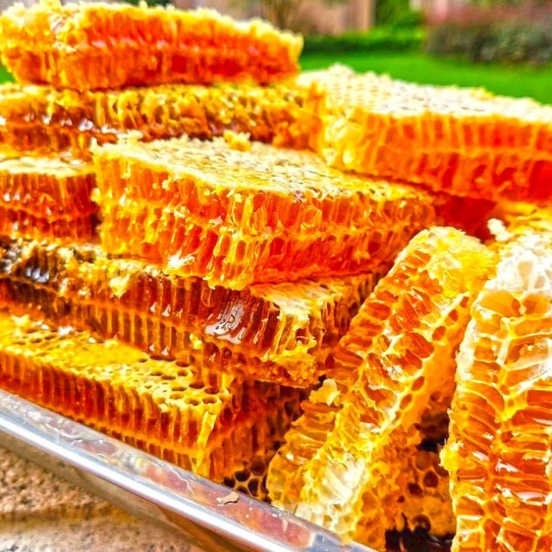 野生蜂巢蜜嚼着吃农家自产土蜂蜜蜂窝蜜瓶装野