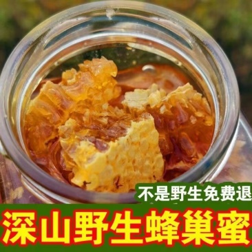 野生蜂巢蜜嚼着吃农家自产土蜂蜜蜂窝蜜瓶装野