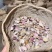 安徽精品蒜种大蒜种子蔬菜种子高山种植一手货源
