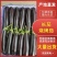 【推荐】菏泽市牡丹区沙土镇贾庄村精品茄子量大正在卖