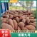 开封龙九红薯龙薯产地直发欢迎咨询合作品质保证