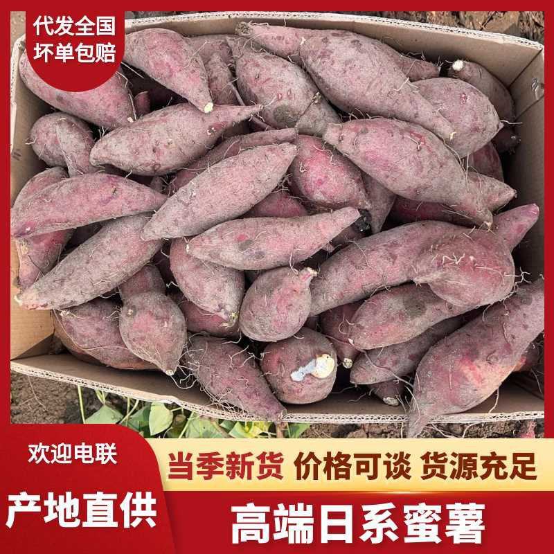 丝滑，高端日系蜜薯。支持市场，电商、商超、加工厂。