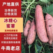 哈蜜冰糖心蜜薯，简称白雪公主支持市场，超市，电商和加工厂
