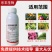 10%高效氯氟氰菊酯杀虫剂果树蔬菜大田通用