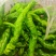 湖北高山鲜辣椒线椒芜湖椒湘妍55螺丝椒一手货源