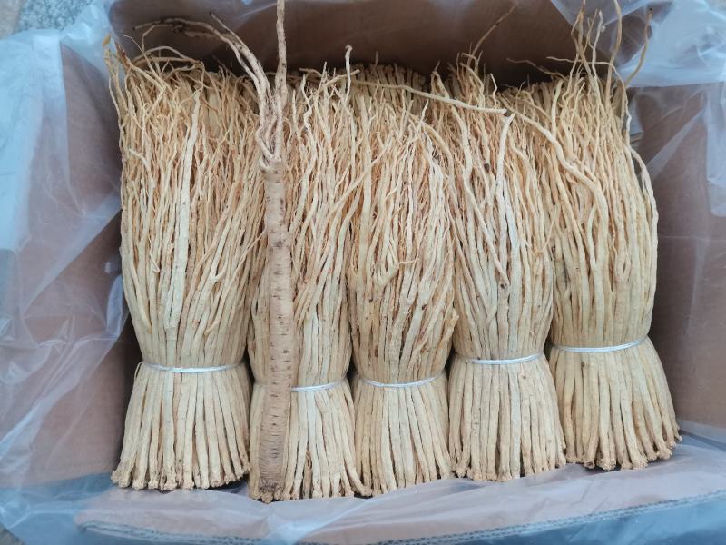 甘肃定西大中小货白条党参