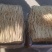 甘肃定西大中小货白条党参