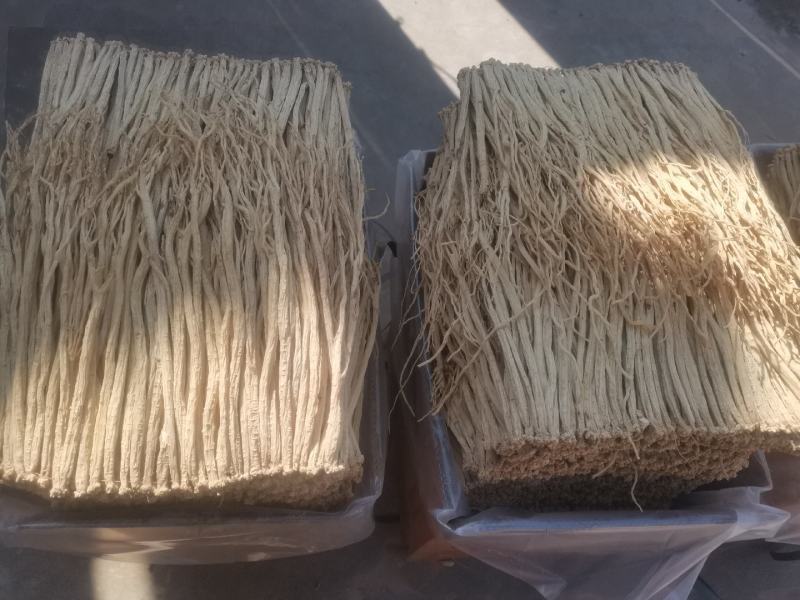 甘肃定西大中小货白条党参