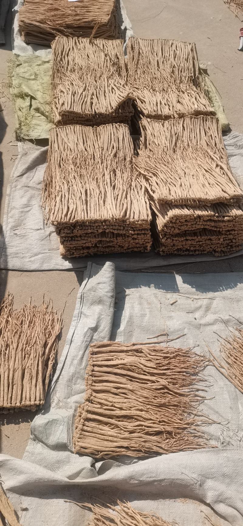 甘肃定西大中小货白条党参