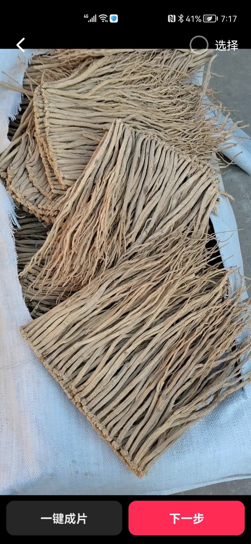 甘肃定西大中小货白条党参